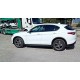 ALFA ROMEO STELVIO 2.2 TURBODIESEL 210 CV AT8 Q4 EXECUTIVE