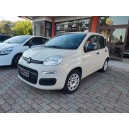 FIAT PANDA 1.2 69 CV EASY