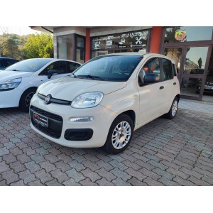 FIAT PANDA 1.2 69 CV EASY