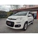 FIAT PANDA 1.2 69 CV LOUNGE